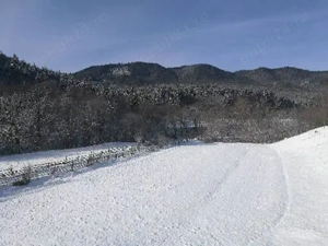 Vând teren intravilan, două loturi cu  suprafață  de 1000 mp fiecare, cadastru făcut,județul Neamț.