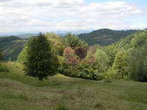 Teren intravilan de vanzare in Telega - imagine 7