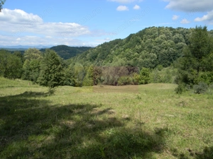 Teren intravilan de vanzare in Telega - imagine 6