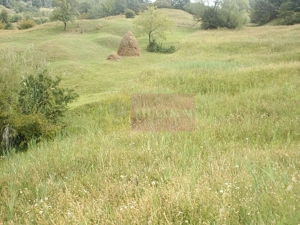 Teren extravilan de vanzare in Telega - imagine 2