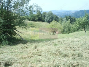 Teren extravilan de vanzare in Telega
