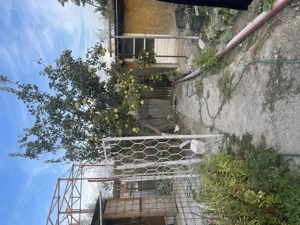 Casă + teren 610 mp Tulcea, Str. Orizontului   utilități complete    - imagine 4