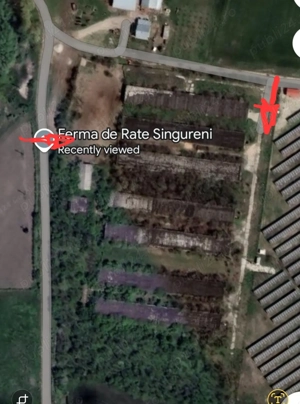 Inchiriere teren 30,000mp si hale in conservare Singureni Giurgiu