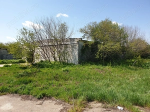 Inchiriere teren 30,000mp si hale in conservare Singureni Giurgiu - imagine 2