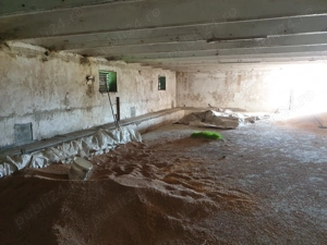 Inchiriere teren 30,000mp si hale in conservare Singureni Giurgiu - imagine 3