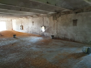 Inchiriere teren 30,000mp si hale in conservare Singureni Giurgiu - imagine 4