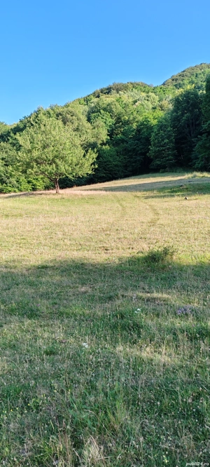 teren extravilan  - imagine 2