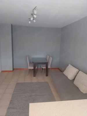De inchiriat apartament 1 camera in Calea Girocului - imagine 2
