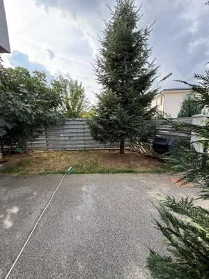 Vila Corbeanca Petresti Hornbach - imagine 5