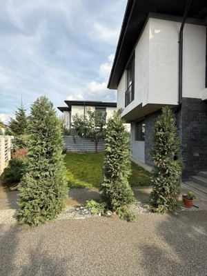 Vila Corbeanca Petresti Hornbach - imagine 4