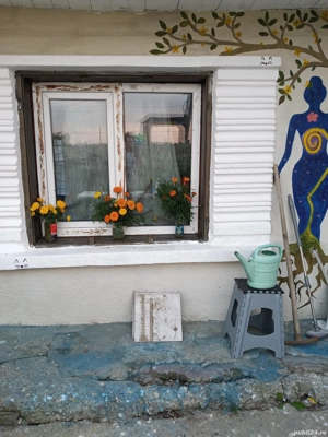 Casa batraneasca si teren  - imagine 2