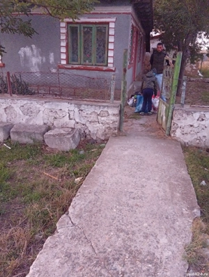 case de vânzare Vâlcele Constanța - imagine 4 case de vânzare Vâlcele Constanța - imagine 4