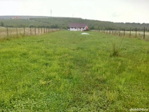 Teren   2200 mp - imagine 7