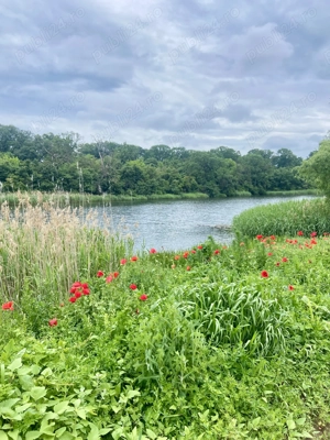 Casa cocheta, 4 camere, 600mp gradina, 5 min de DN1, Garaj, carport, mobilata, magazie - imagine 9