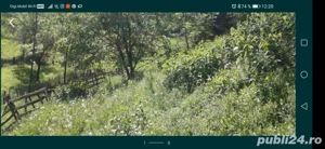 Teren Alunis Prahova - imagine 5