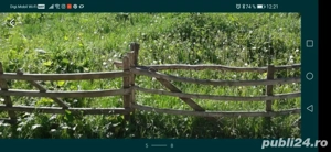 Teren Alunis Prahova - imagine 4