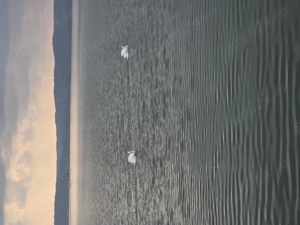 Vand teren cu iesire la Dunare