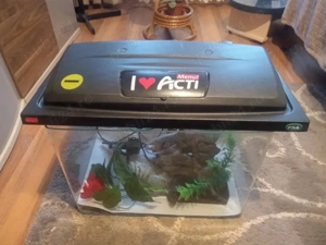Vand acvariu cu accesorii fără pești