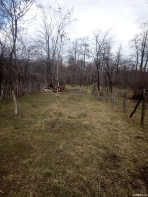 vand teren intravilan 600 mp  - imagine 2