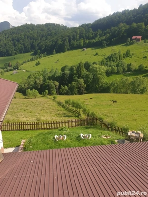 Pensiune de revelion - imagine 3