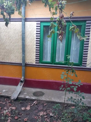 Casa batraneasca si teren de vanzare: Silistraru, Braila