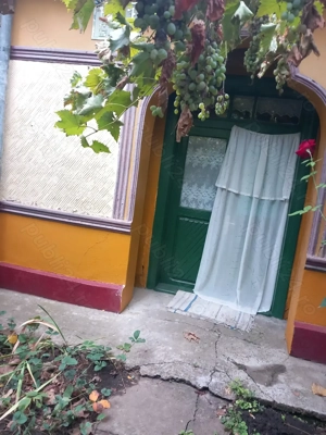 Casa batraneasca si teren de vanzare: Silistraru, Braila - imagine 2