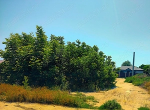 Teren intravilan Chiscani Brăila