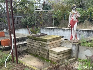 Vand casa in Livada de Bihor - imagine 5