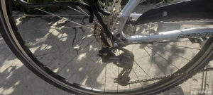 PEGASUS de dama roti 28 - imagine 3