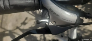 PEGASUS de dama roti 28