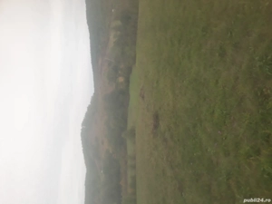 DE vînzare teren extravilant intravilan POPESTI JUDEȚUL HUNEDOARA informatii la nr   - imagine 2