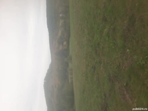 DE vînzare teren extravilant intravilan POPESTI JUDEȚUL HUNEDOARA informatii la nr   - imagine 3