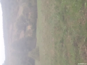 DE vînzare teren extravilant intravilan POPESTI JUDEȚUL HUNEDOARA informatii la nr   - imagine 4