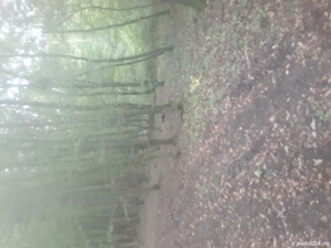 DE vînzare teren extravilant intravilan POPESTI JUDEȚUL HUNEDOARA informatii la nr   - imagine 5