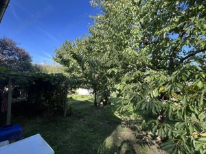 Vand sau schimb casa zona munte - imagine 7