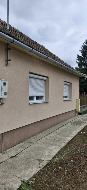 Vanzare casa in localitatea sălard  - imagine 4