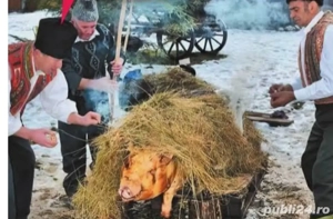 Tai si injungi porci