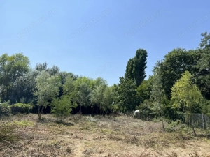 Teren Manastirea Snagov. Deschidere lac 22 m. Front stradal 30 metri.  - imagine 5