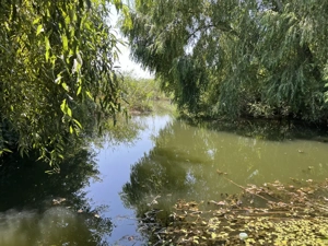 Teren Manastirea Snagov. Deschidere lac 22 m. Front stradal 30 metri.  - imagine 7