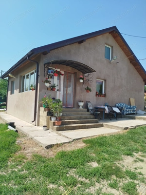 Casa și livadă meri de vânzare 