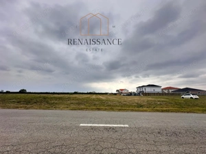Mosnita Noua Teren 10.000mp | Front 63m | La asfalt - Zona de Case