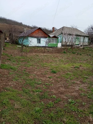 Casă bătrânească cu teren