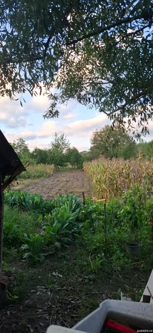 Casa de vanzare cu anexe - imagine 3