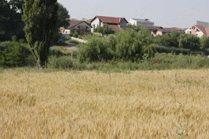 Teren intravilan cu vedere la lac   Balotești   Corbeanca, 17850 mp