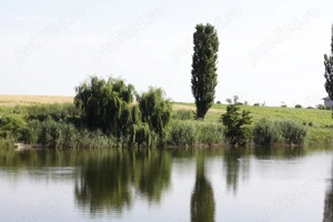 Teren intravilan 17850 mp cu vedere la lac   Balotesti - imagine 3