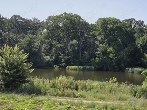 Teren intravilan 17850 mp cu vedere la lac   Balotesti - imagine 4