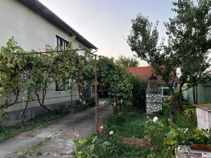 Vilă de vânzare complet mobilată Birchiș - imagine 4