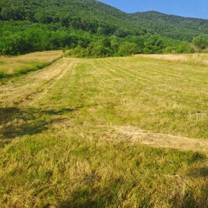 Teren  extravilan de vanzare