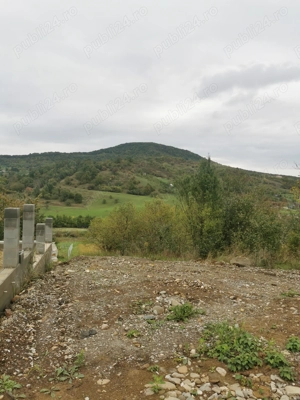 Teren intravilan în Jelna 