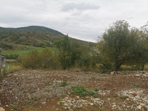 Teren intravilan în Jelna  - imagine 2